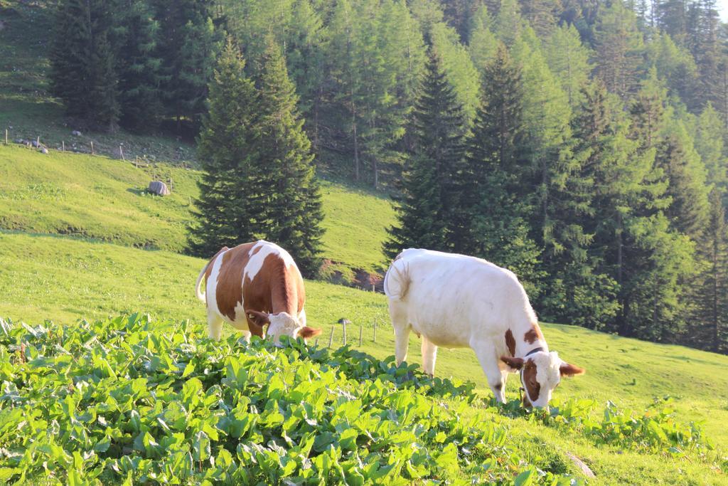 Salzburger Dolomitenhof Hotel