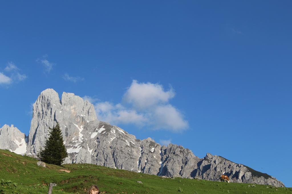 Salzburger Dolomitenhof 3* Annaberg im Lammertal