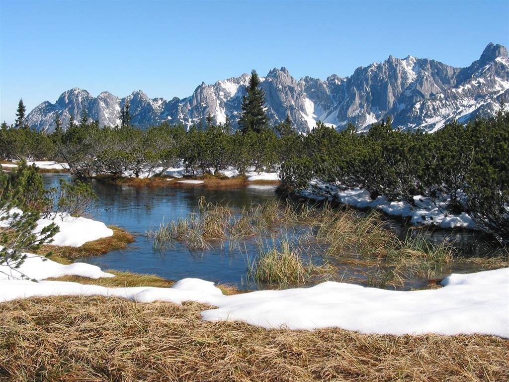 Salzburger Dolomitenhof 3* Annaberg im Lammertal