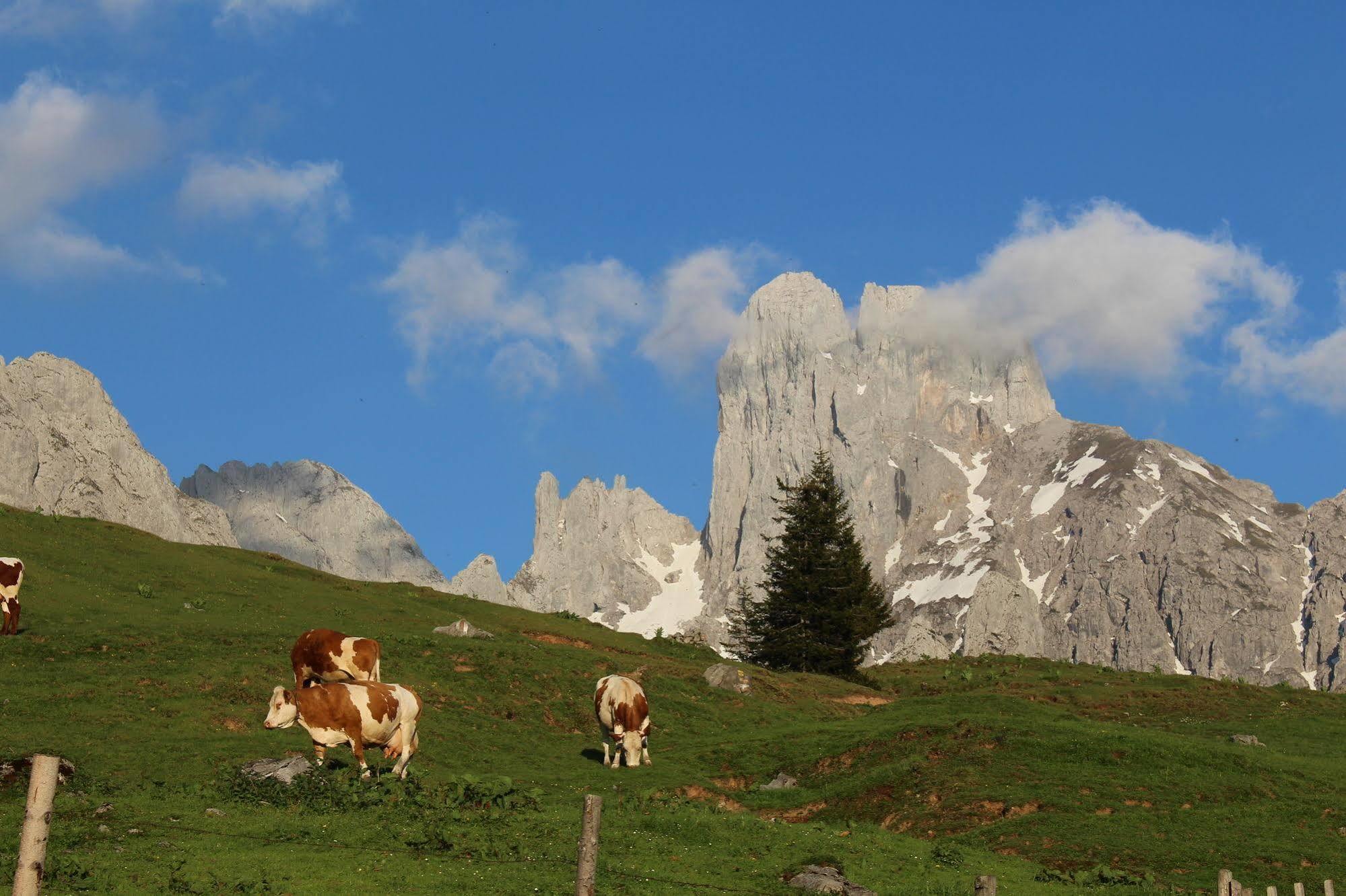 Salzburger Dolomitenhof
